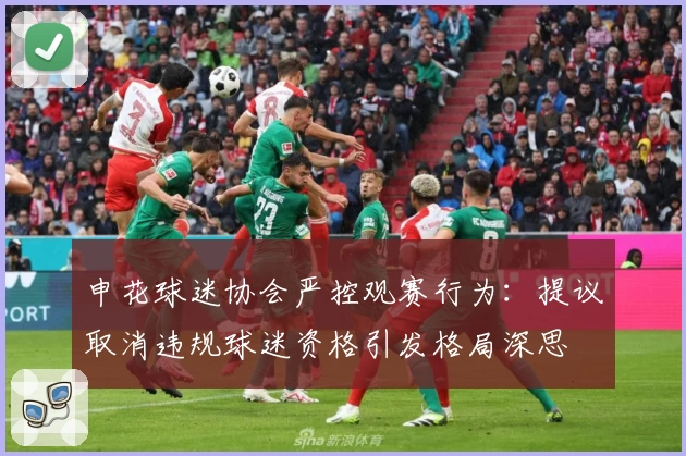 申花球迷协会严控观赛行为:提议取消违规球迷资格引发格局深思